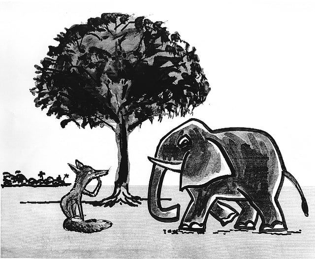 মাসুক হেলাল