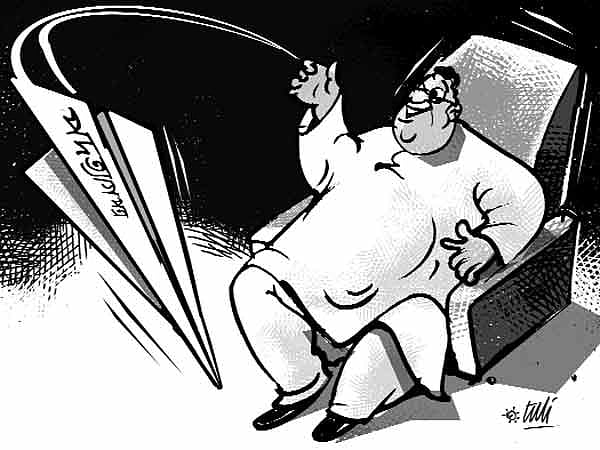 কার্টন: তুলি