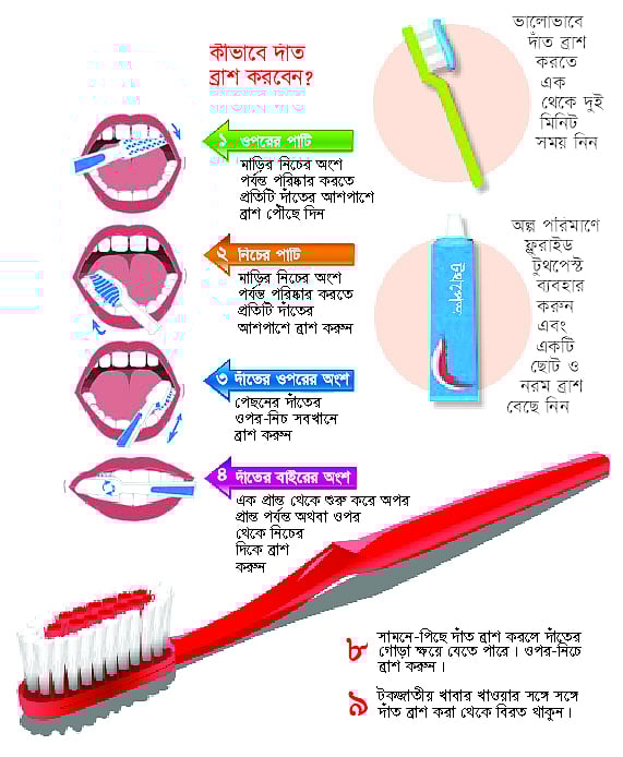 সঠিক নিয়মে দাঁত ব্রাশের পরামর্শ