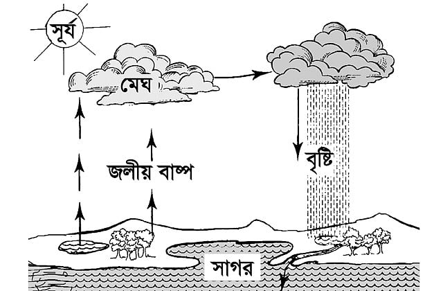 চিত্র: পানিচক্র