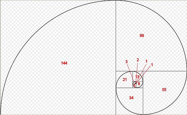 শামুকের ক্রমবৃদ্ধি