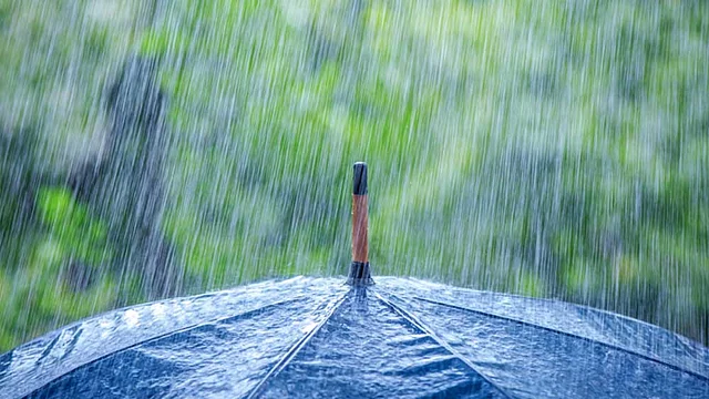 বৃষ্টি। ছবি সংগৃহীত