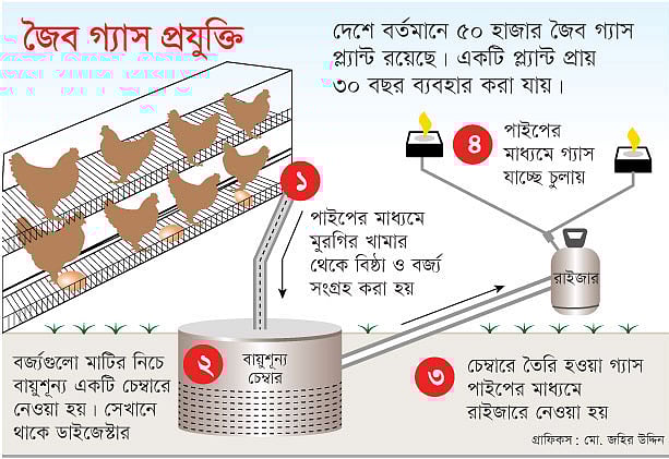 গ্রাফিকস: মো. জহির উদ্দিন
