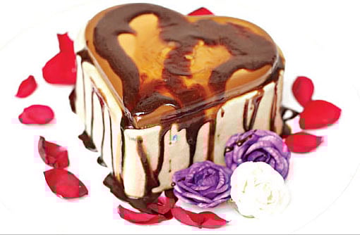 পান-পামকিন পান্না কোটা