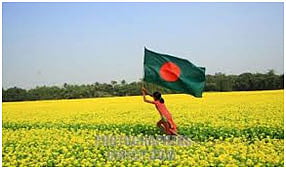 বাংলার অবারিত সরিষামাঠ৷ সংগৃহীত