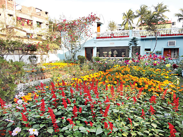 গোটা বাড়িটাই ফুল আর গাছগাছালির দখলে