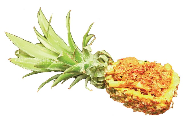 আনারস মাংস