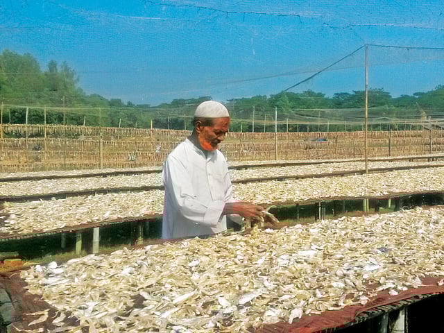 মহেশখালীর সোনাদিয়া দ্বীপের একটি শুঁটকি মহালে ব্যস্ত এক শ্রমিক l প্রথম আলো