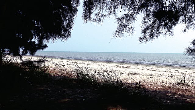 জঙ্গল পার হলেই দেখা মিলবে এমন নির্জন সৈকত। ছবি: লেখক