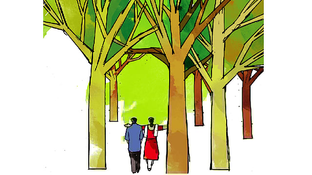 অলংকরণ: তুলি