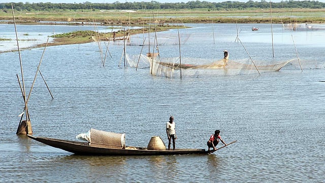 হাওরে মাছ ধরছেন জেলেরা ষ ছবি: আনিস মাহমুদ