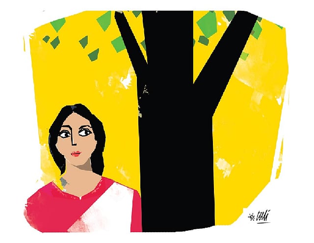 অলংকরণ: তুলি