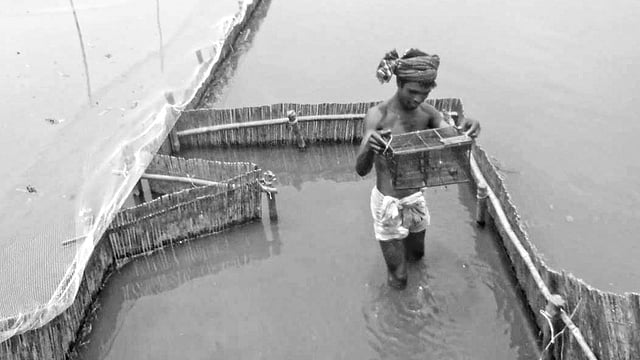 বগুড়ার ধুনট উপজেলার ঝিনাই গ্রামের কাছে ইছামতি নদীতে মাছ শিকারের জন্য বাঁশ ও জাল দিয়ে আড়াআড়ি বাঁধ দেওয়া হয়েছে। সম্প্রতি তোলা ছবি l প্রথম আলো