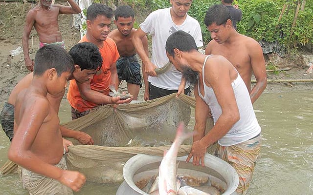 জাল টেনে মাছ ধরা চলছে। ছবিটি বৃহস্পতিবার সকালে ময়মনসিংহের তারাকান্দা উপজেলার বকশীমূল গ্রাম থেকে তোলা। ছবি: জগলুল পাশা