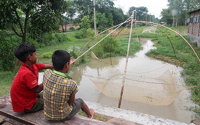 বর্ষার পানিতে মাছ ধরছে দুই শিশু। ছবিটি বৃহস্পতিবার বগুড়া সদর উপজেলার এরুলিয়া এলাকা থেকে তোলা। ছবি: সোয়েল রানা