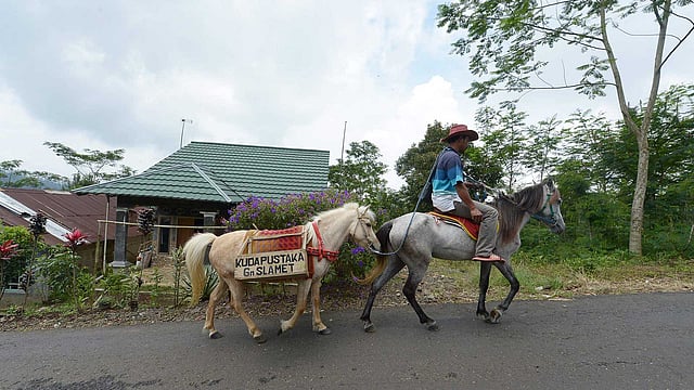 ঘোড়ার পিঠে বই নিয়ে যাচ্ছে ভ্রাম্যমাণ পাঠাগার। ছবি: এএফপি