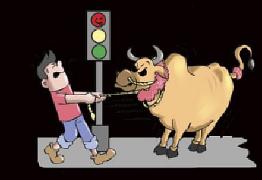 আঁকা: শিখা