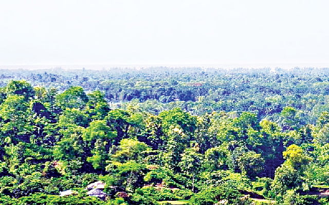 দিগন্তে সমুদ্র। চারদিকে সবুজের সমারোহ। ফাঁকে ফাঁকে ধানখেত, ছায়াচ্ছন্ন কুটির। নেটং পাহাড়ের চূড়া থেকে দেখা টেকনাফ শহর l প্রথম আলো