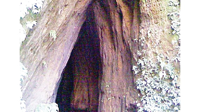 কুদুম গুহা