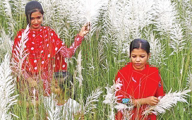 টঙ্গীর প্রত্যাশা মাঠ এলাকার ছবি