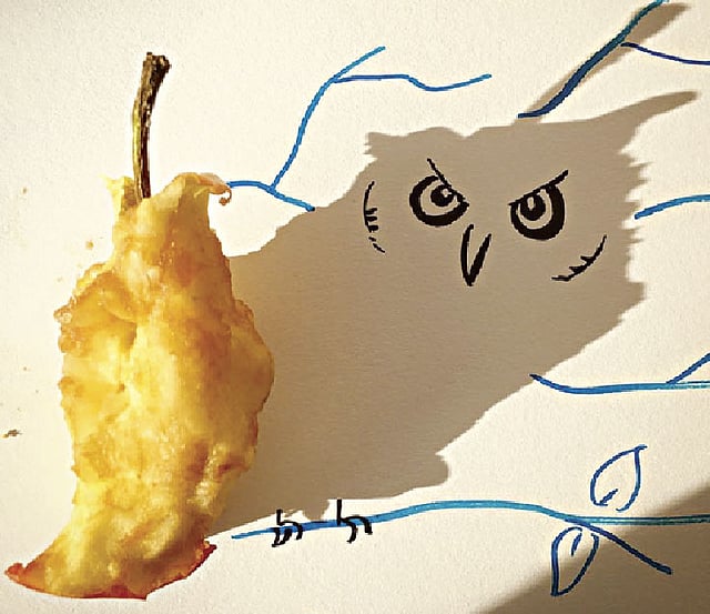 আধ খাওয়া আপেল হয়ে গেল একটা প্যাঁচা!