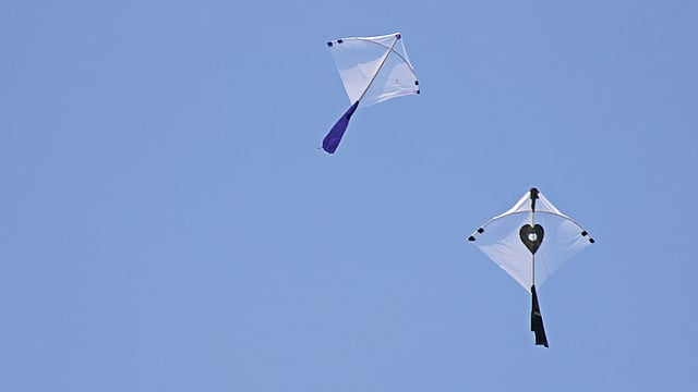 ঘুড়ি থাকে অনেক রকম