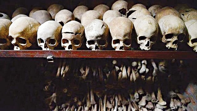 জাদুঘরে রাখা হয়েছে মাথার খুলি