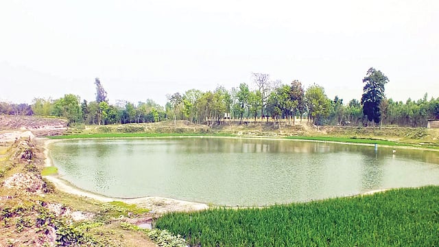 ঠাকুরগাঁওয়ের রানীশংকৈল উপজেলার বধ্যভূমি খুনিয়াদিঘি l প্রথম আলো