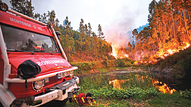 মধ্য পর্তুগালের কয়েমব্রা শহরের পেনেলা এলাকায় গতকাল ছড়িয়ে পড়ে ভয়াবহ দাবানল l ছবি: এএফপি