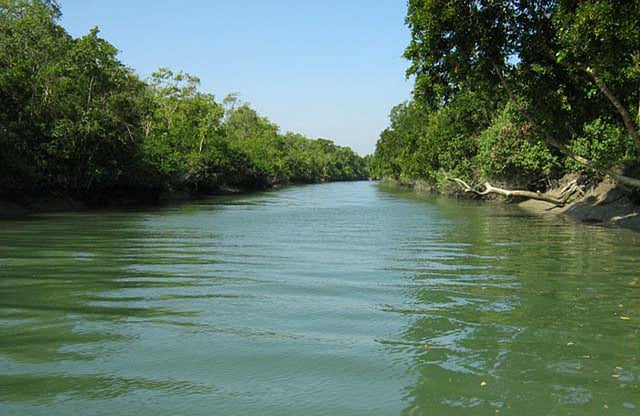 ফাতরার বনের ছায়া এসে পড়ে এই খালের টলটলে জলে। ছবি: শংকর দাশ