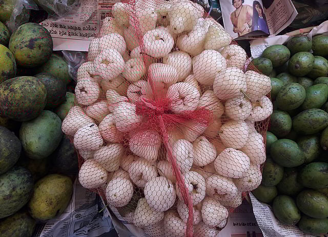 জামরুল। ছবি: মোছাব্বের হোসেন