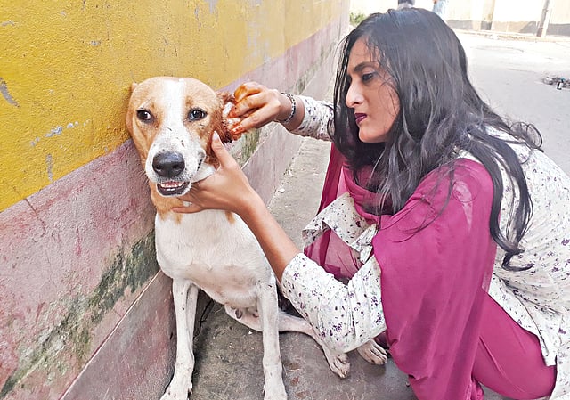 এভাবেই প্রাণীদের যত্ন নেন সোহান জাহান l ছবি: সংগৃহীত