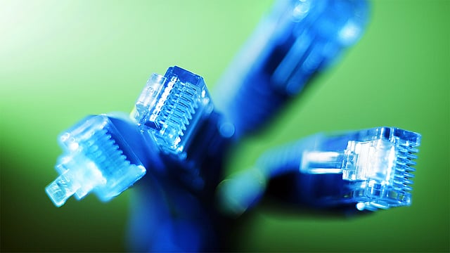 ছবি: রয়টার্স