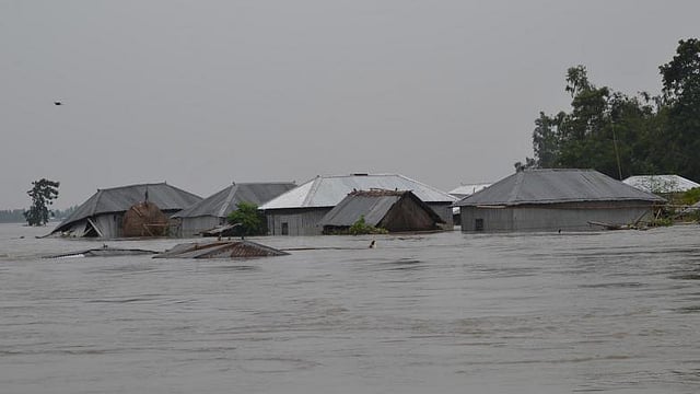 ছবি: প্রথম আলো