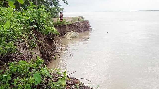 ছবি: পান্না বালা