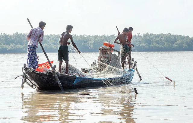 এবার জাল তোলার পালা। ছবি: প্রথম আলো