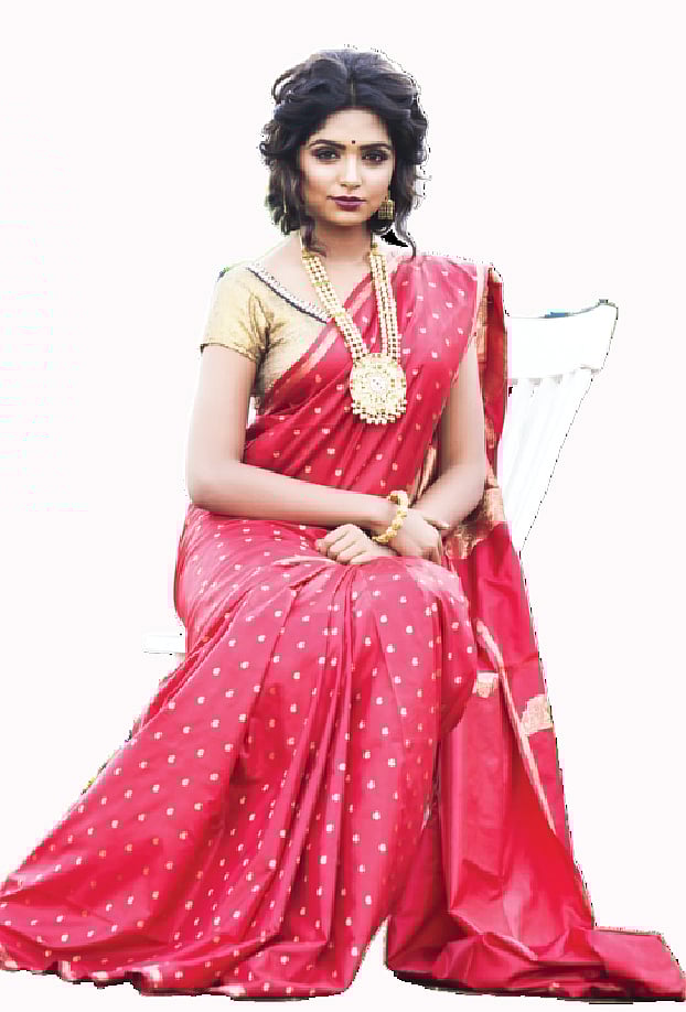 বিশেষ দাওয়াতে গলায় মানাবে বড় মালা মডেল: হিমি সাজ: পারসোনা শাড়ি: বেনারসি কুঠি গয়না: কনক