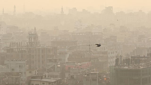 ঋতুবদলের পালায় প্রকৃতিতে এখন শীতকাল। কিন্তু শীতের তেমন দেখা নেই। প্রথম আলো ফাইল ছবি।