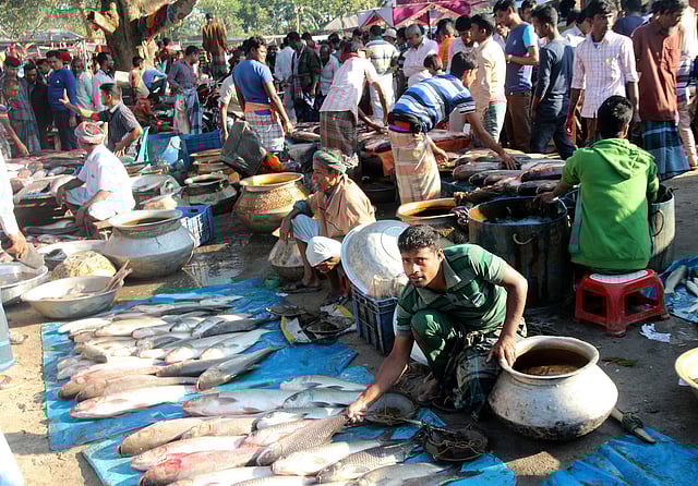 মাছের পসরা নিয়ে বসেছেন ব্যবসায়ীরা। বেশির ভাগ মাছই ছিল চাষের।