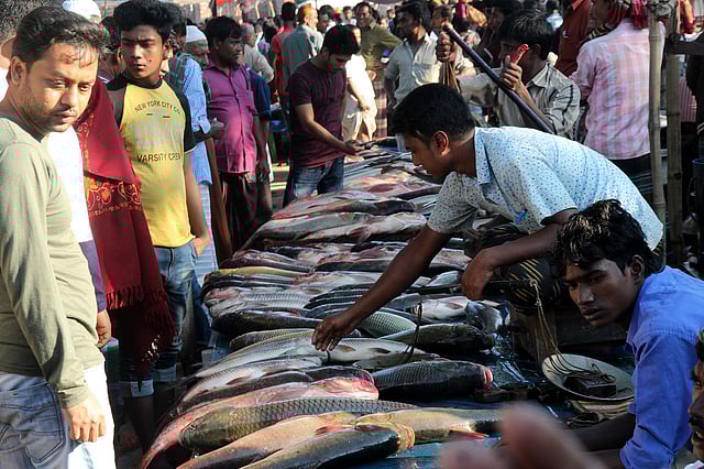 মাছ কিনতে ক্রেতাদের ভিড়।