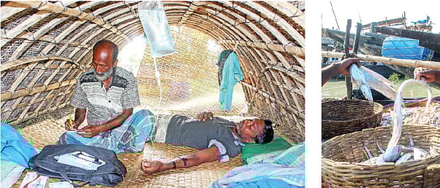 একজন চিকিৎসকেরও দেখা মিলল