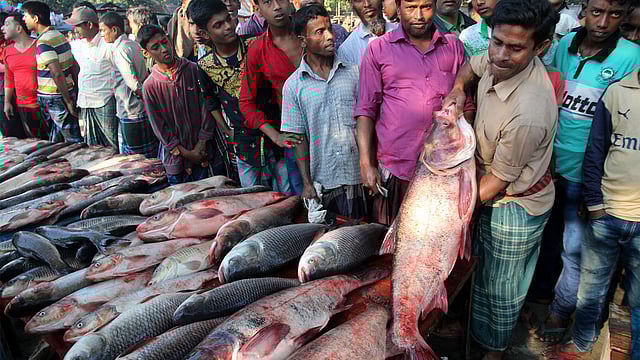 মেলায় ছোট-বড় মিলে প্রায় দোকান বসেছে।