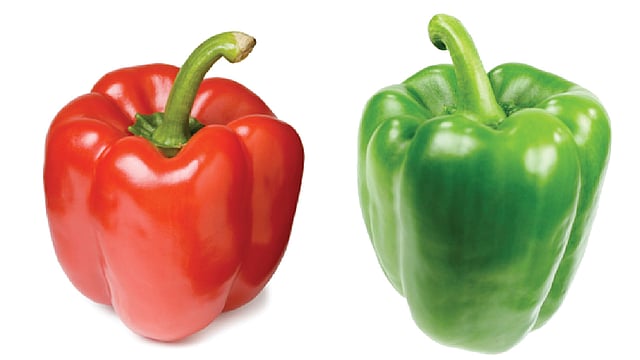 ক্যাপসিকাম