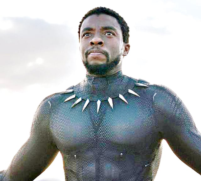 ব্ল্যাক প্যানথার ছবির মূল চরিত্র