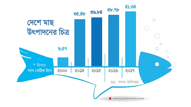মৎস্য অধিদপ্তরের তথ্য অনুয়ায়ী, গত বছর দেশে ৪১ দশমিক ৩৪ লাখ মেট্রিক টন মাছ উৎপাদন হয়েছে।