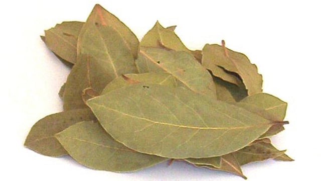 তেজপাতায় রয়েছে ঔষধি গুণ।