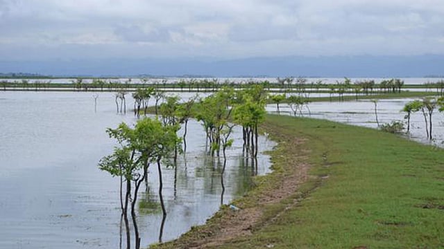 প্রথম আলো ফাইল ছবি।