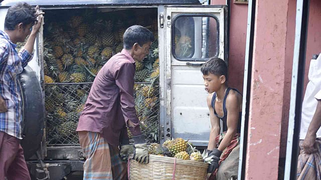 উপজেলার বিভিন্ন বাগান থেকে আসা আনারস গাড়ি থেকে নামানো হচ্ছে। শ্রীমঙ্গল নতুন বাজার, মৌলভীবাজার, ১৯ মে। ছবি: শিমুল তরফদার