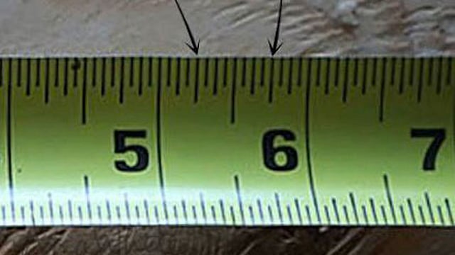 নারী ও পুরুষ শিক্ষার্থীদের মধ্য ৬ ইঞ্চি দূরত্ব বজায় রাখার নির্দেশ জারির পরই সামাজিক যোগাযোগমাধ্যমে সমালোচনা চলছে। কেউ কেউ স্কেলের এই ছবি প্রকাশ করে সমালোচনা করছেন। ছবি: টুইটার