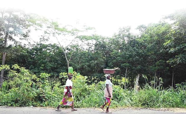 পথেই দেখা নিনগু গ্রামের দুই নারীর সঙ্গে